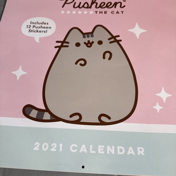 Pusheen 2021 Calendar Open Used No Stickers And Writing On One Page - Picture 2 of 5